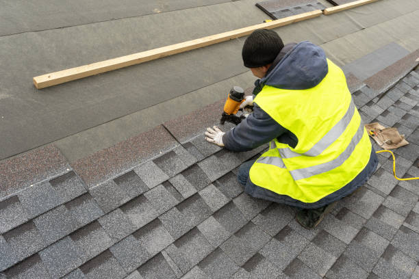 Best Roof Gutter Cleaning  in Vaeboro, NC