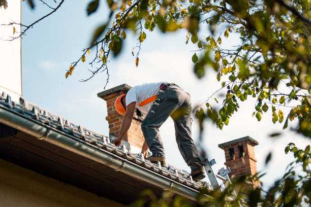 Gutter Installation and Roofing in Vanceboro, NC