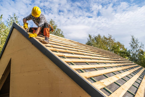 Best Roof Leak Repair  in Vaeboro, NC