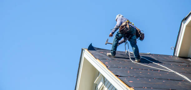 Best Gutter Installation and Roofing  in Vaeboro, NC